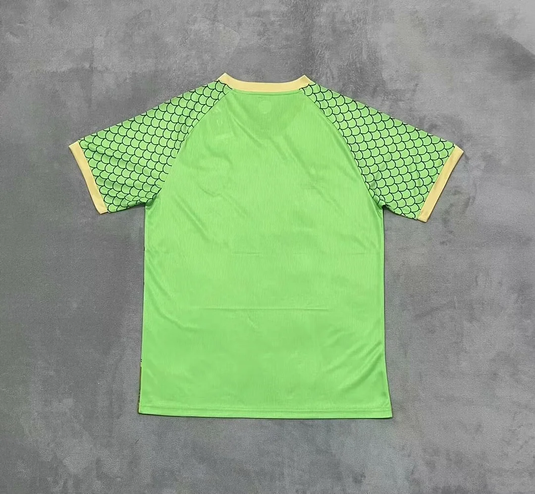 2024 Japan Special Edition Green Soccer Shirt Thai Qulity