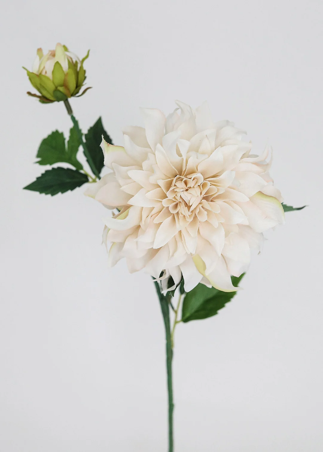 Ivory Dahlia Flower in Ivory - 19.5"
