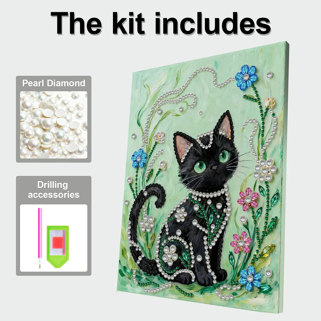 Black Cat DIY Pearl Diamond Art Kit for Adults Home Decor With Frame 30x40cm