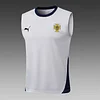 Joyfball 2025 Portugal pre-match training Jersey+Shorts  1:1 Thai Quality