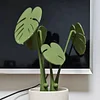 Monstera coaster creative table decoration simulation plant potted magnetic insulation pad tree leaf anti-scalding pad
