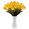 Twinkling Tree Tulips