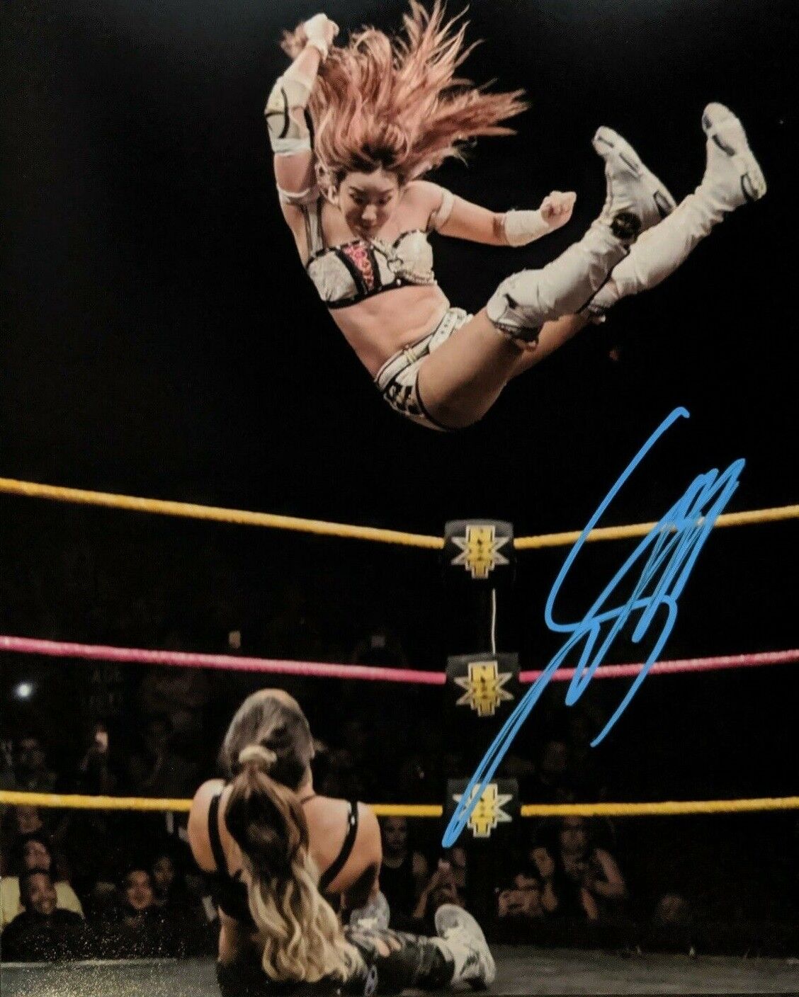 Kairi Sane ( WWF WWE ) Autographed Signed 8x10 Photo Poster painting REPRINT