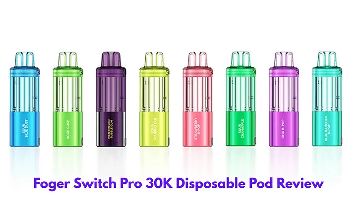 how much is elf bar vape Flum Pebble main image 0
