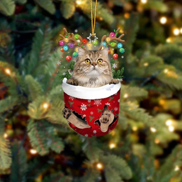 Cat 16 In Snow Pocket Christmas Ornament.