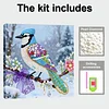 Bird DIY Pearl Art Diamond Painting Kit for Adults Home Decor 25x25cm With Frame