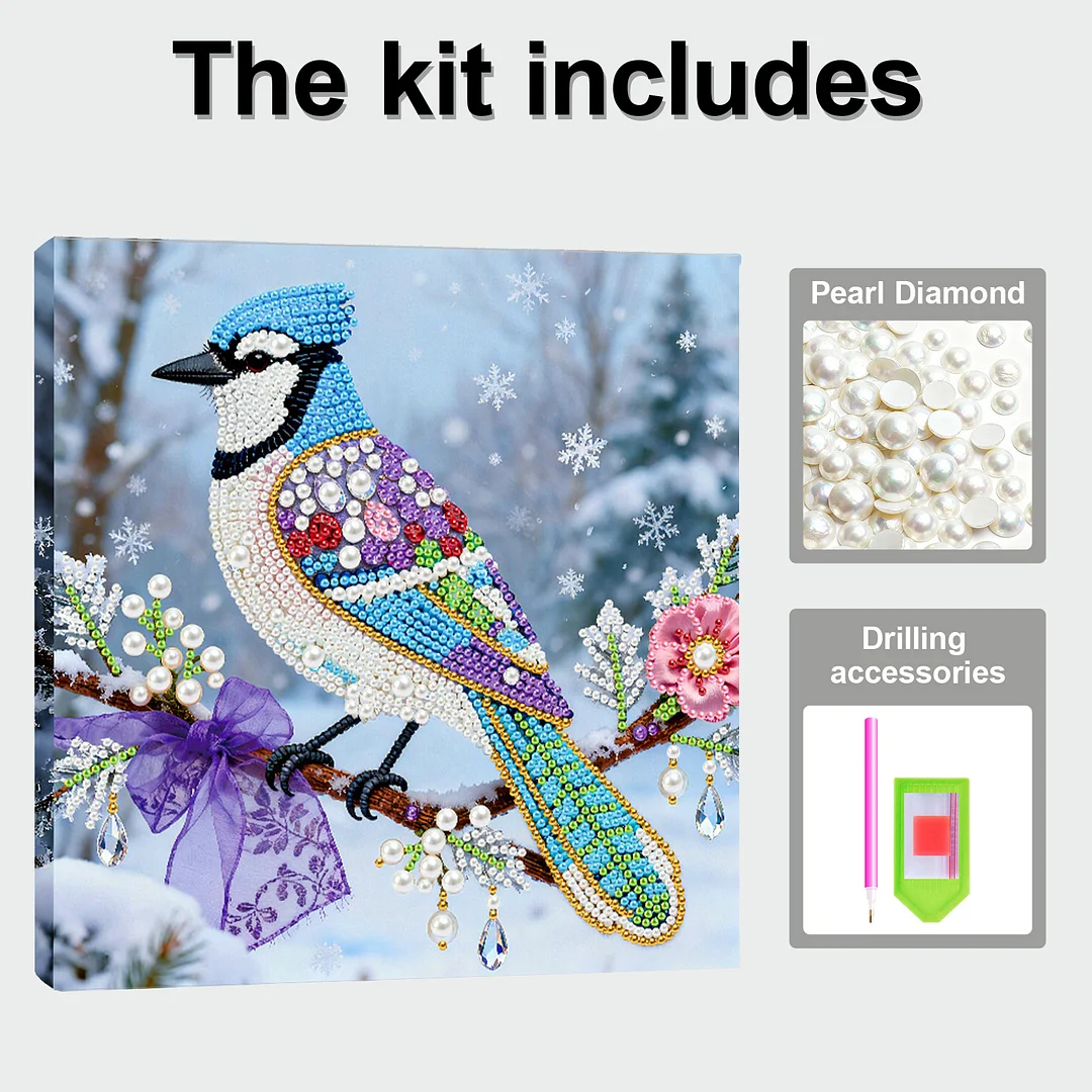 Bird DIY Pearl Art Diamond Painting Kit for Adults Home Decor 25x25cm With Frame