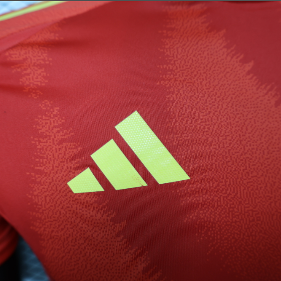 2024 Spain Home Player Version Men's Football T-Shirt Thai Quality