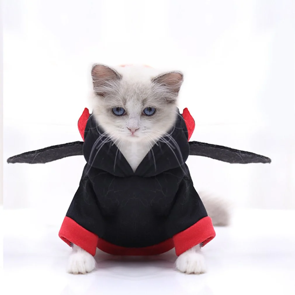 cat Halloween costume