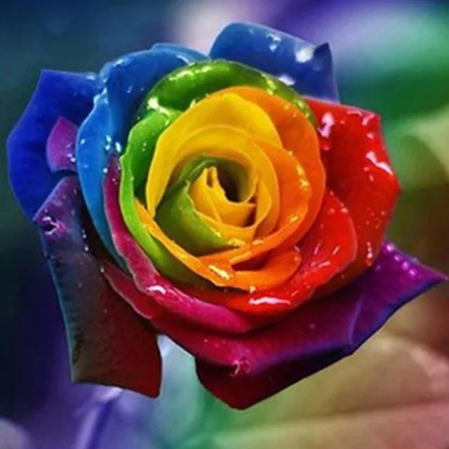 Diamondpaintinggifts Full Drill Diamond Painting - Colorful Rose