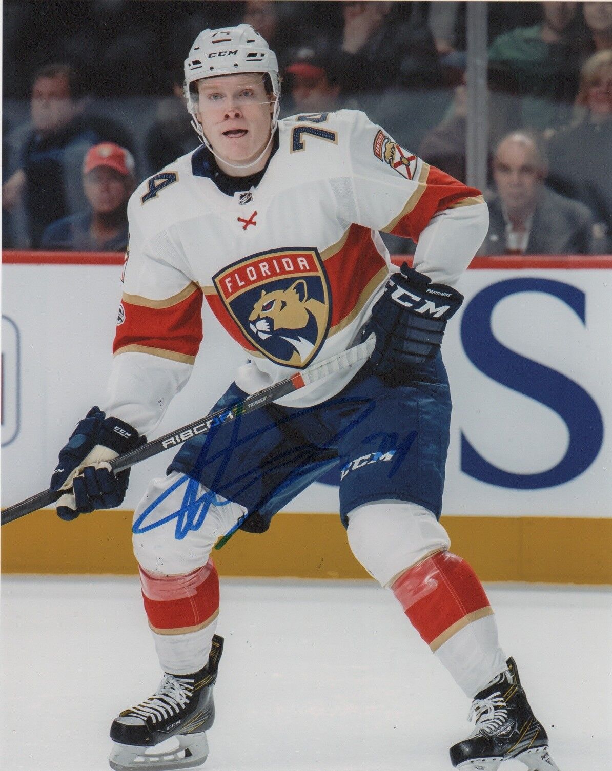 Florida Panthers Owen Tippett Signed Autographed 8x10 Photo Poster painting COA