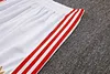 Joyfball 2025/2026 Bayern Munich Long Zipped Jacket 125-Year Anniversary White Football Jersey 1:1 Thai Quality 