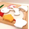 Origin Village Woody Puzzle Ohara-so Wooden Toy Wooden Puzzle Rabbit Puzzle