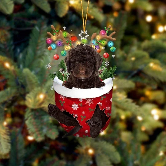 Spanish Water Dog In Snow Pocket Christmas Ornament trabladzer
