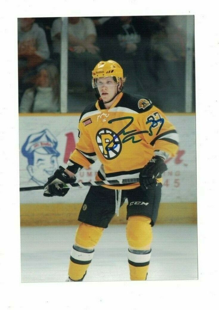 Zach Trotman Providence Bruins Signed 4x6 Hockey Photo Poster painting W/Our COA