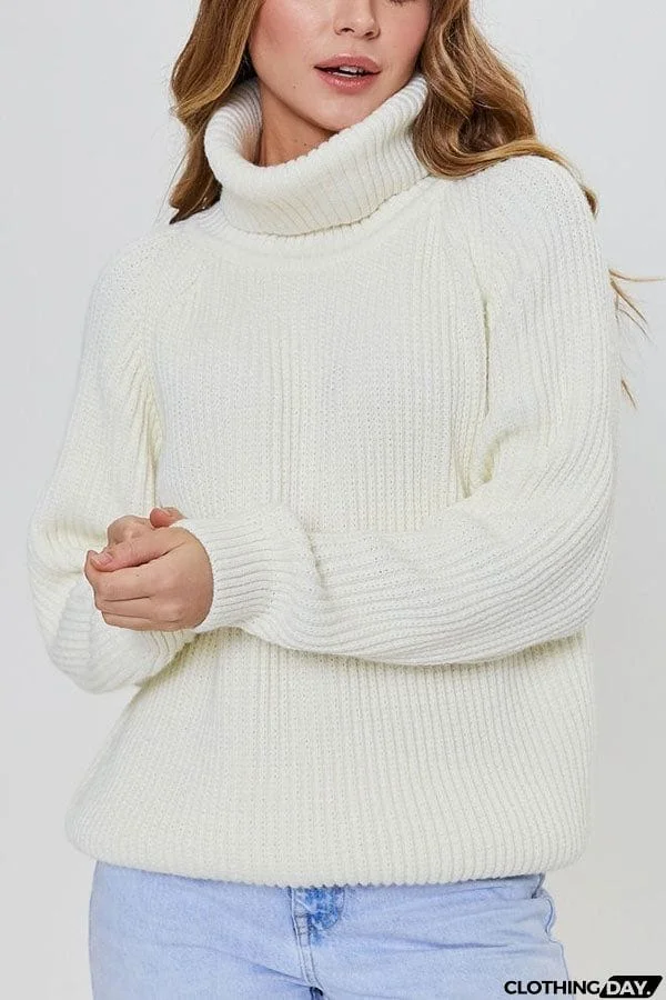 Turtleneck Pullover Loose Knit Sweater