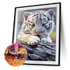 Diamond Painting -DIY Round Drill Baby Tiger