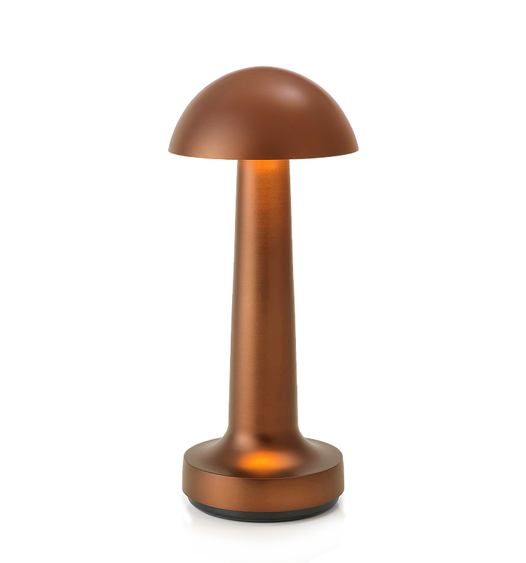 LED Enclosed Dome Table Lamp