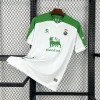 24/25 Racing de Santander Soccer Jersey Home