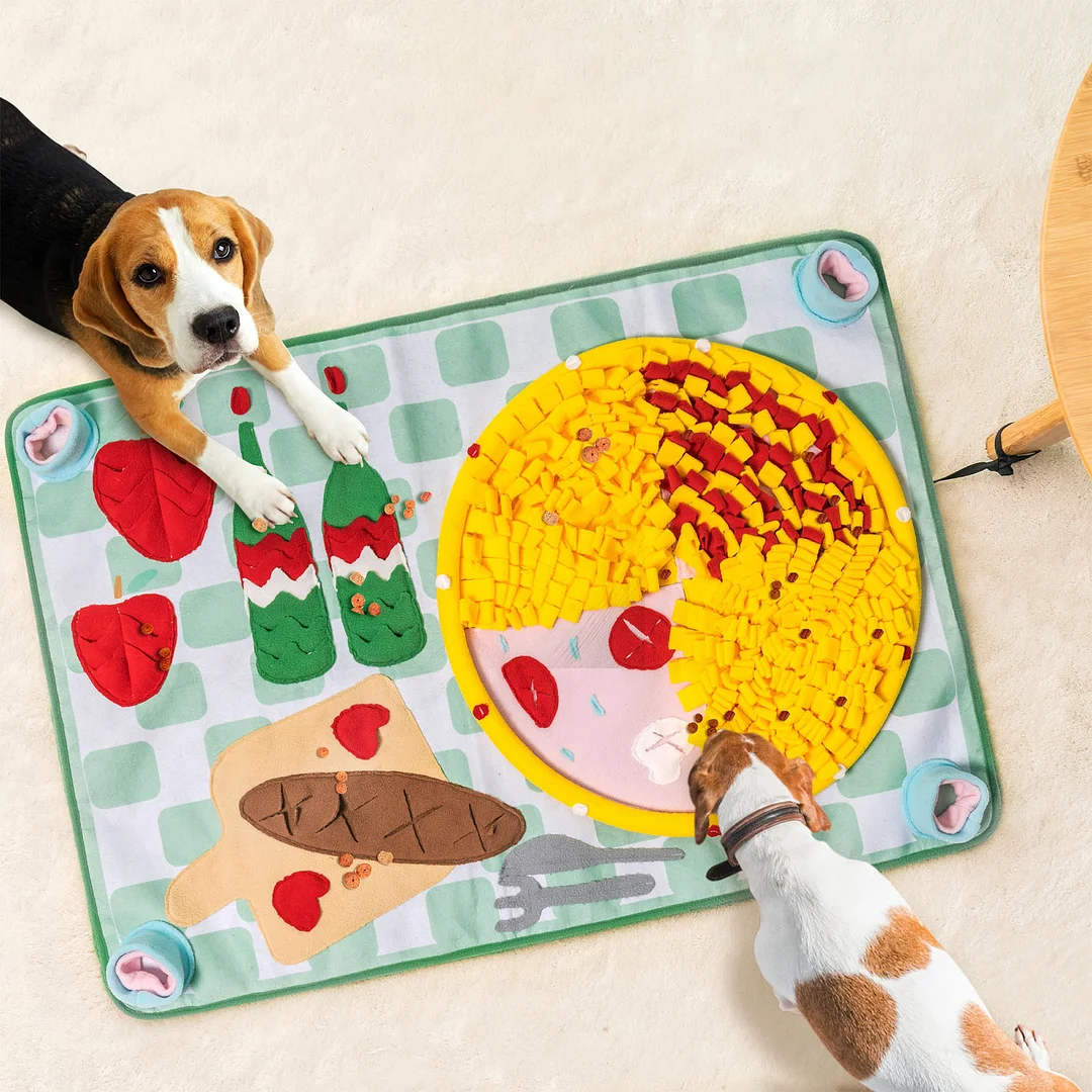 The Best Snuffle Mats for Dogs of 2024