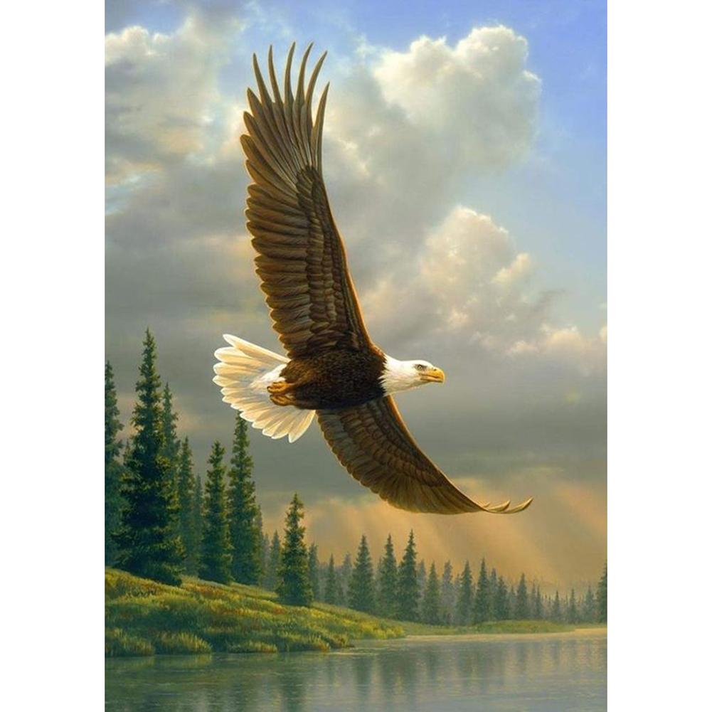 

30*40CM - Eagle - Round Drill Diamond Painting, 501 Original