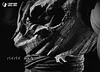 1/6 Scale ByeBye Son Goku - Dragon Ball Z Resin Statue - LOST BOY Studio
