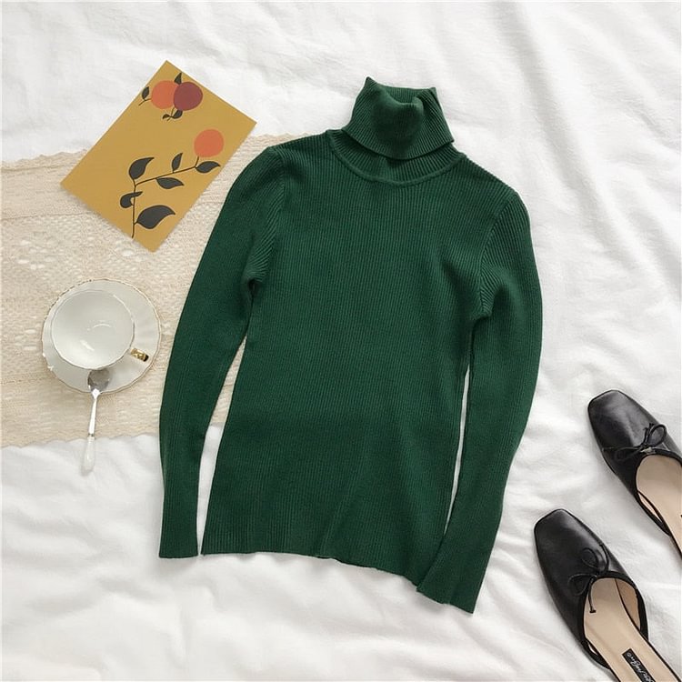 Autumn Winter Thick Sweater Women Knitted Ribbed Pullover Sweater Long Sleeve Turtleneck Slim Jumper Soft Warm Pull Femme - BlackFridayBuys