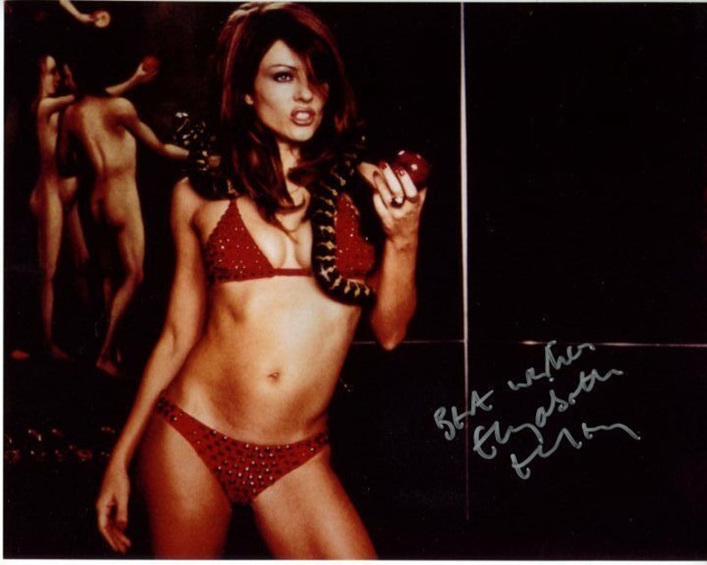 Elizabeth hurley signed autographed bedazzled the devil Photo Poster painting