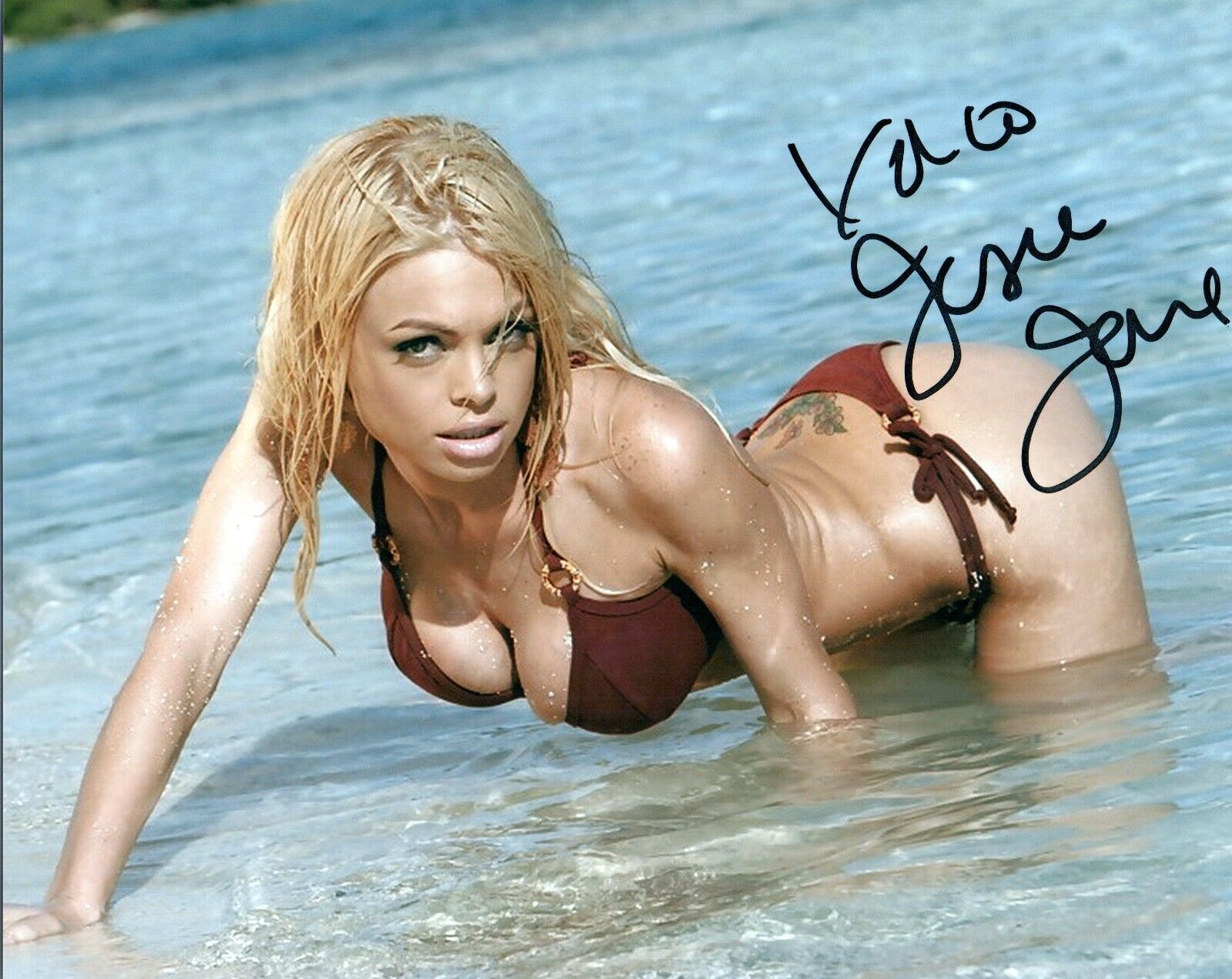 Jesse Jane Super Sexy Hot Adult Model Signed 8x10 Photo Poster painting COA Proof 17