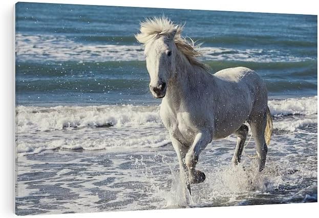 CafePress Canvas Wall Art Horse Running On The Beach Ready to Hang for Living Room, Bedroom or Office 36x24