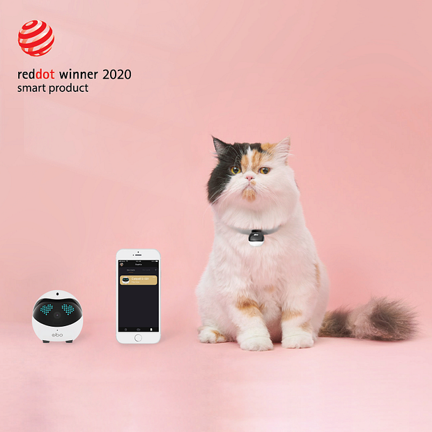 cat pal robot