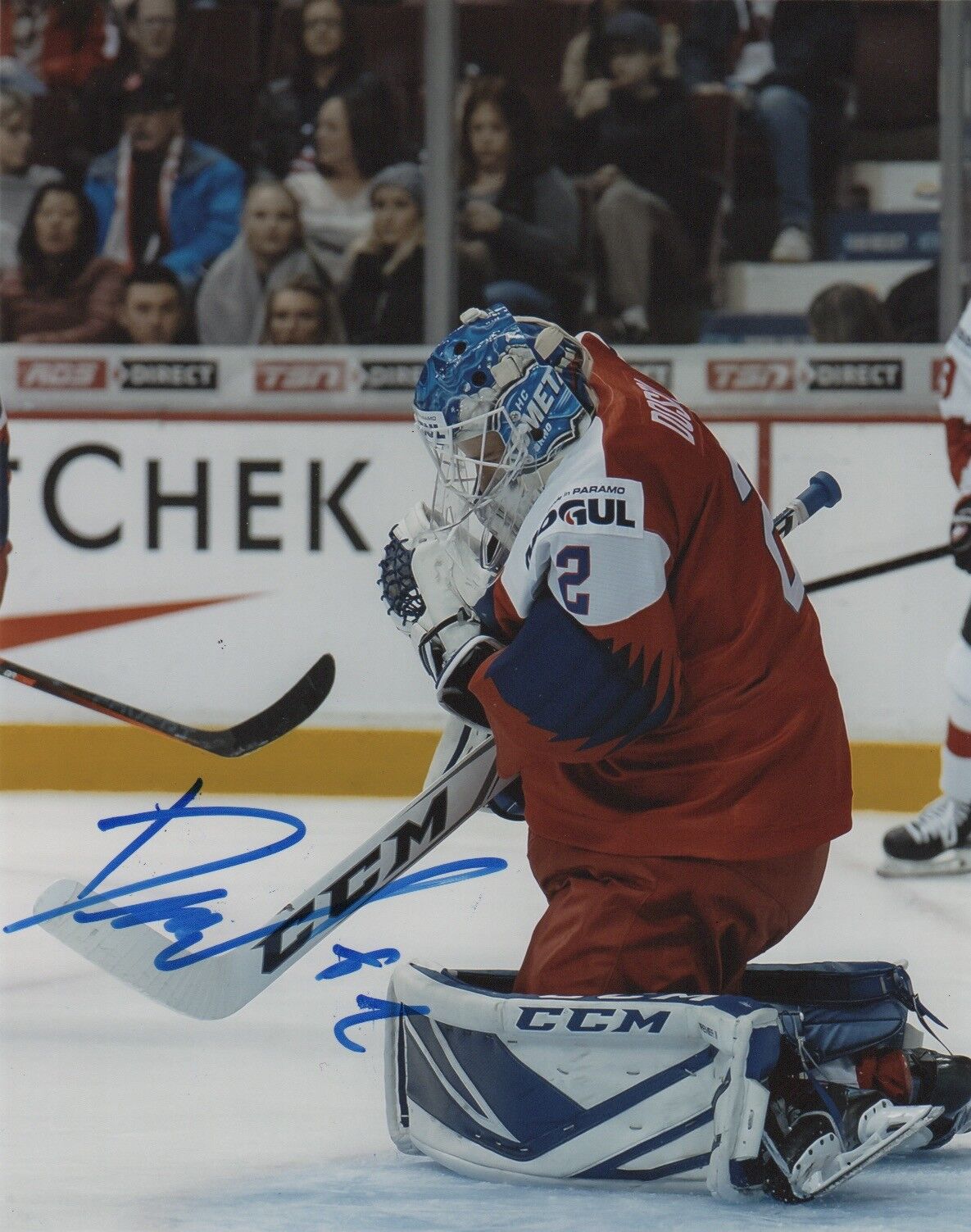 Czech Lukas Dostal Signed Autographed 8x10 NHL Photo Poster painting COA #4