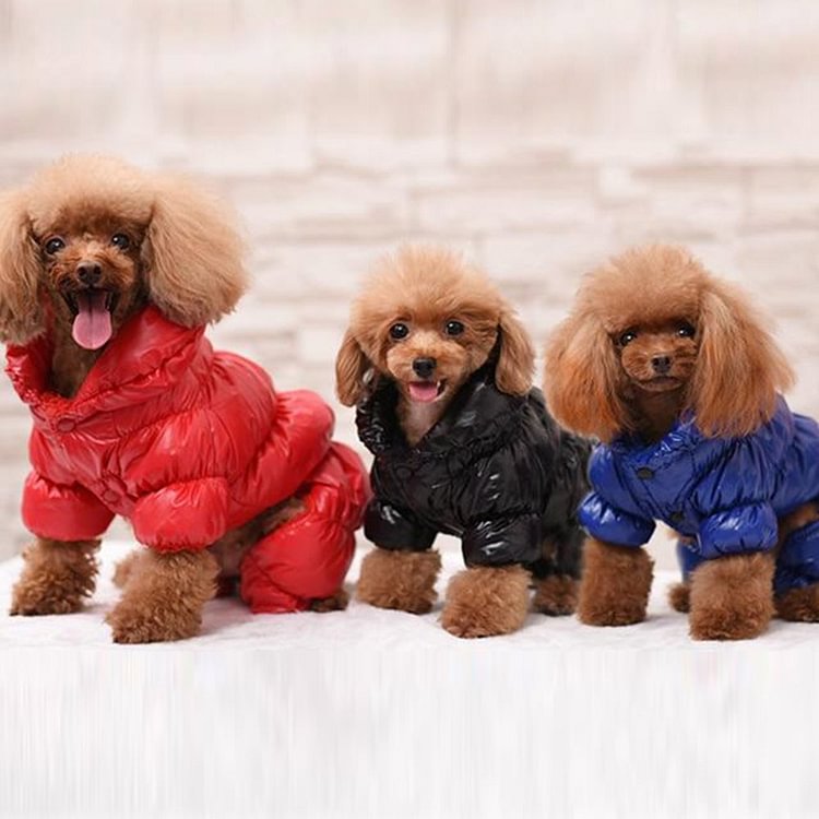 Luckstylish™ Puppy Puffer Jacket
