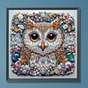(Multistyle) Oiseau Hibou-Peinture Diamant En Forme Sp&eacute;ciale-30 * 30CM