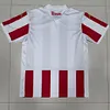 2024/2025 AS Monaco Special Edition Football Shirt 1:1 Thai Quality