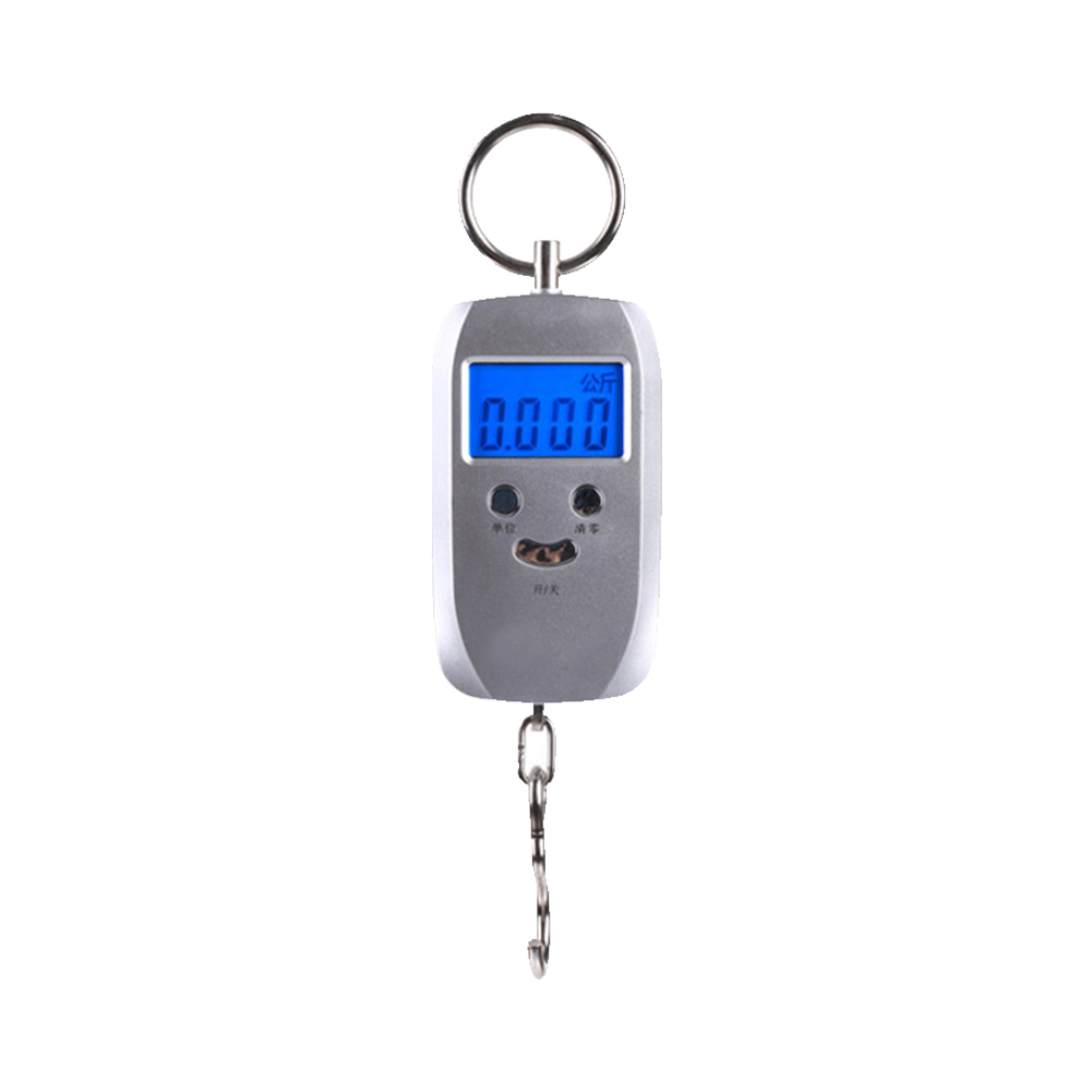 

Portable Hanging Hook Digital Scales Backlight Fishing Weighting, 501 Original