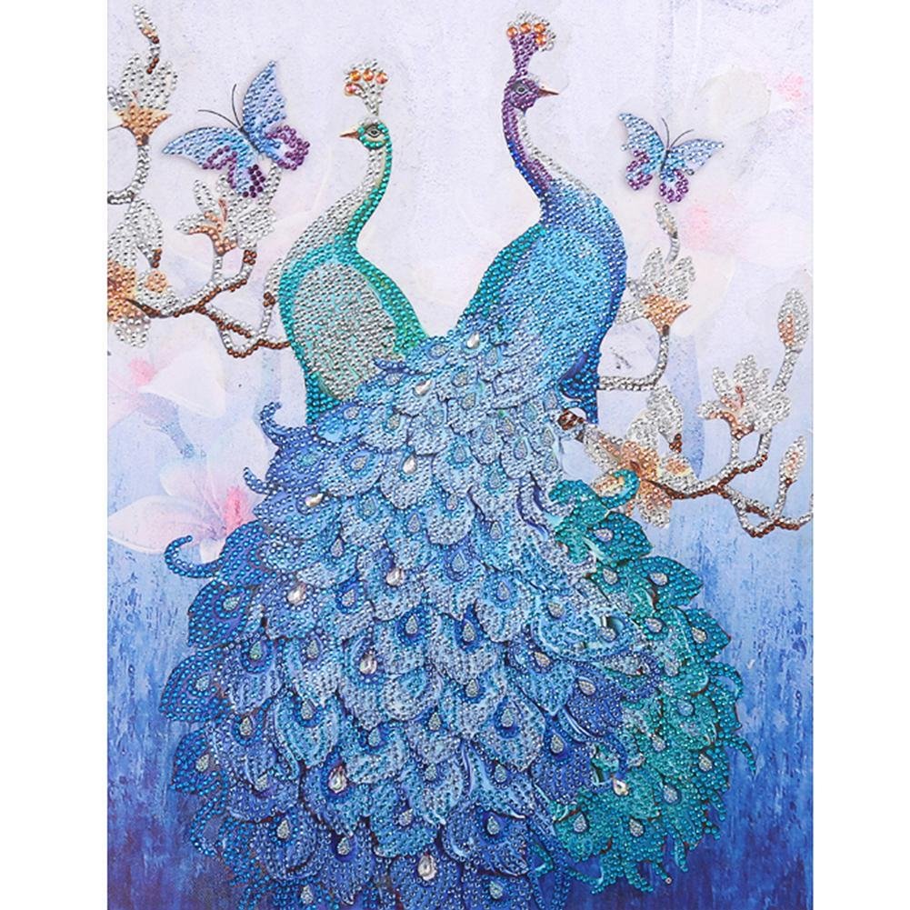 Partial Special Shaped Diamond Painting Peacock  Kit
