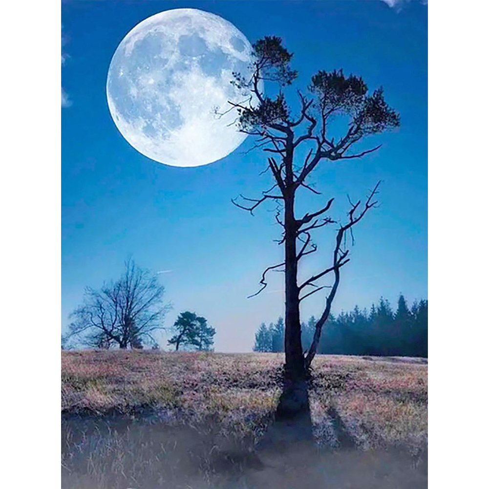 

Moon Landscape - Square Drill Diamond Painting - 30*40CM, 501 Original