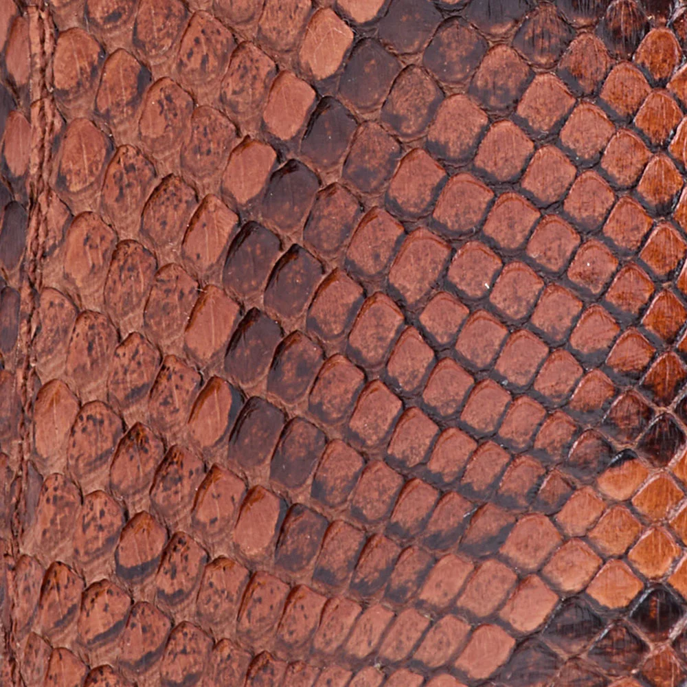 Brown Python-Embossed Stacked Heel Embroidered Cowboy Boots for Women