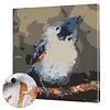 Framed Bird On The Branche-Paint by Numbers Acrylic Painting 20*20CM