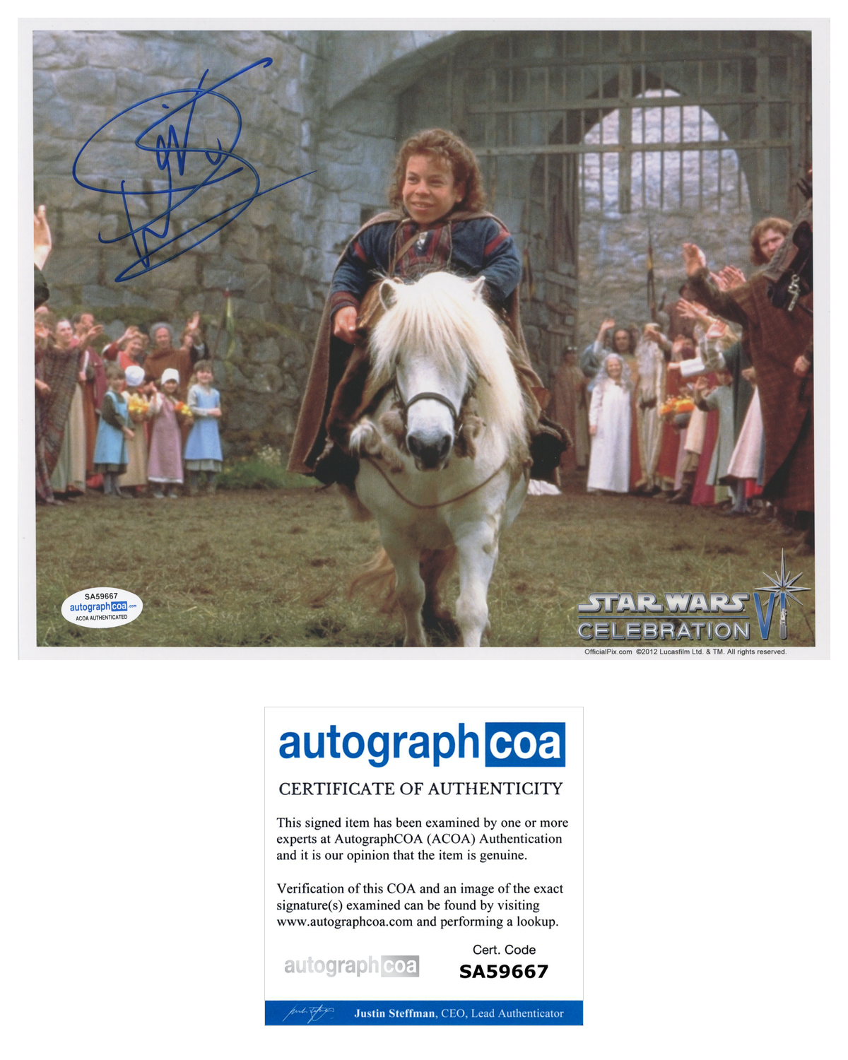 Warwick Davis Signed Autograph 8x10 Photo Poster painting Star Wars Willow Official Pix ACOA COA