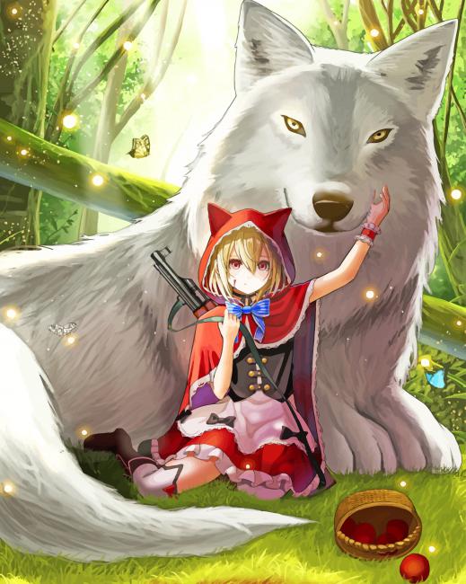 

Anime Girl And Big Wolf – Paint By Numbers - 40*50CM, 501 Original