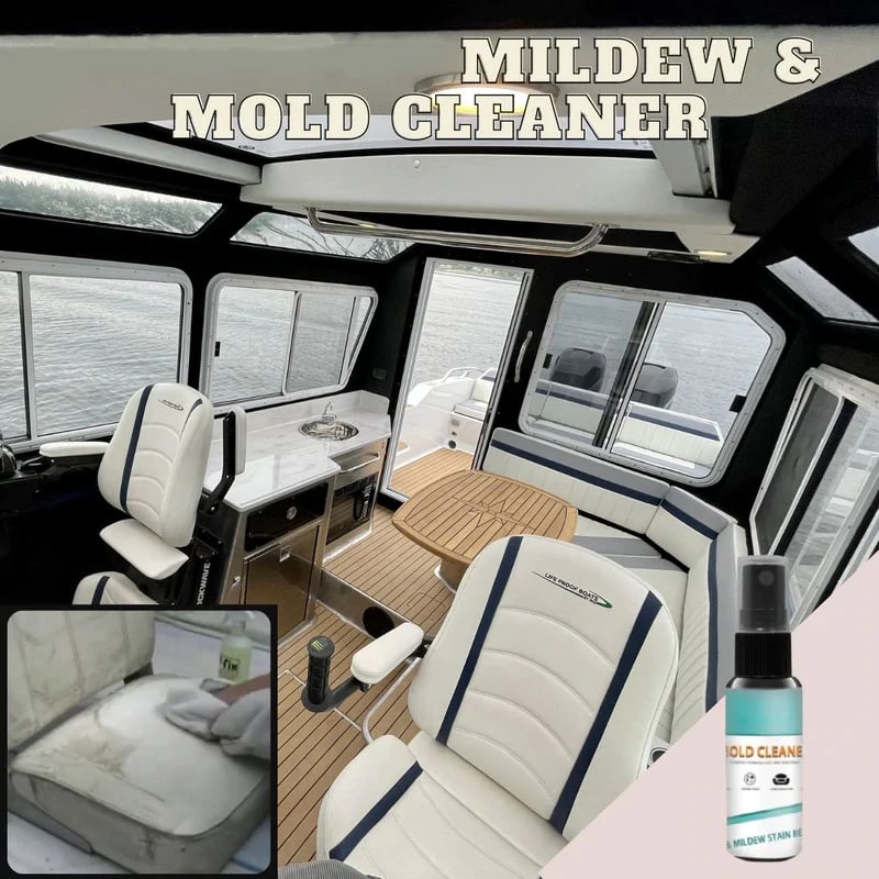 Fast Mildew & Mold Cleaner