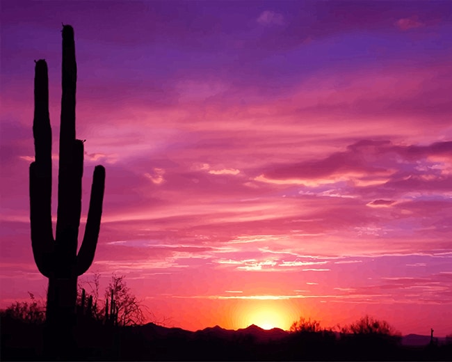 

Beautiful Cactus Sunset – Paint By Numbers - 40*50CM, 501 Original