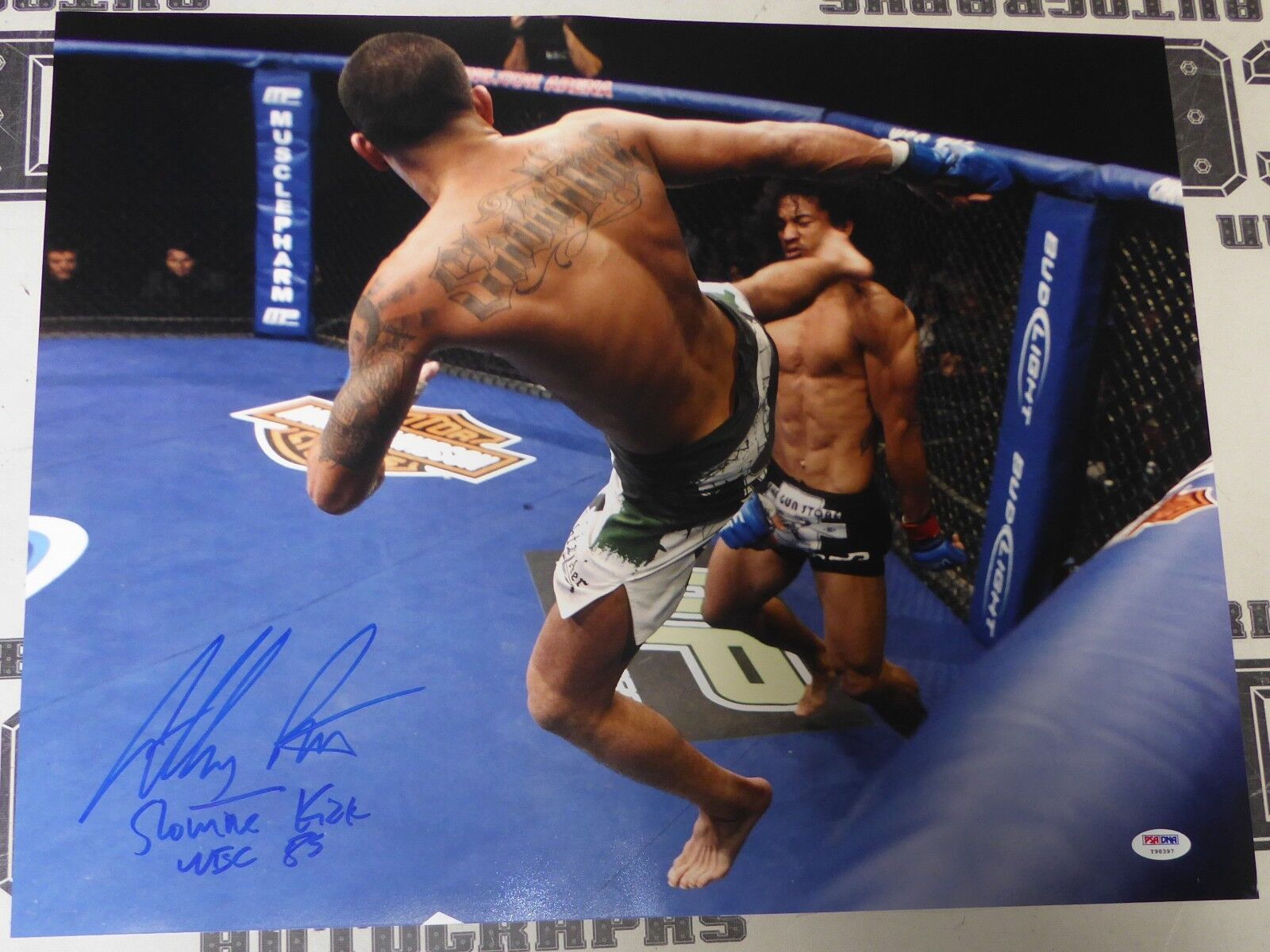 Anthony Pettis Signed UFC 16x20 Photo Poster painting PSA/DNA COA WEC 53 Showtime Kick Autograph