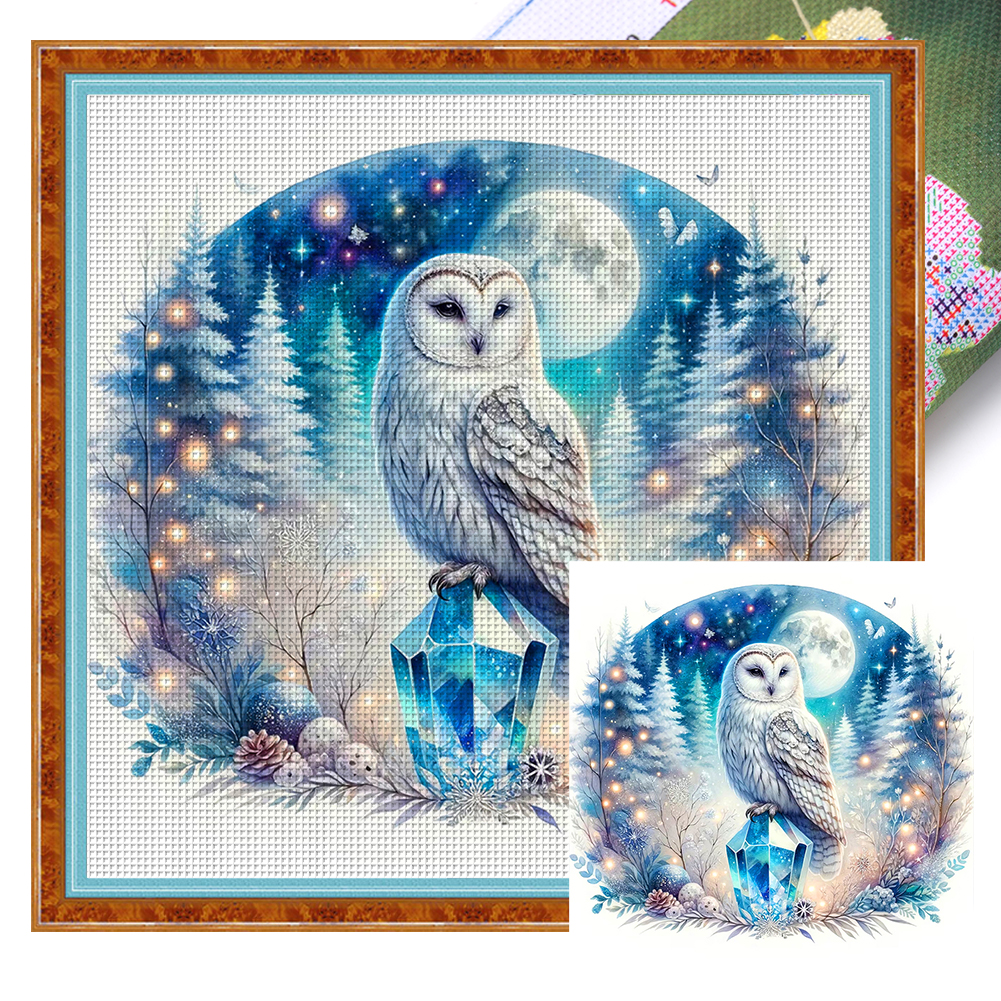 Maydear Stamped Cross Stitch Kits for Beginners DIY 11CT - Cartoon owl 19×9  inch