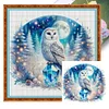Owl On Gemstone Under Moonlit Night-Full Embroidery 3 Strands 11CT Stamped Cross Stitch-40*40CM