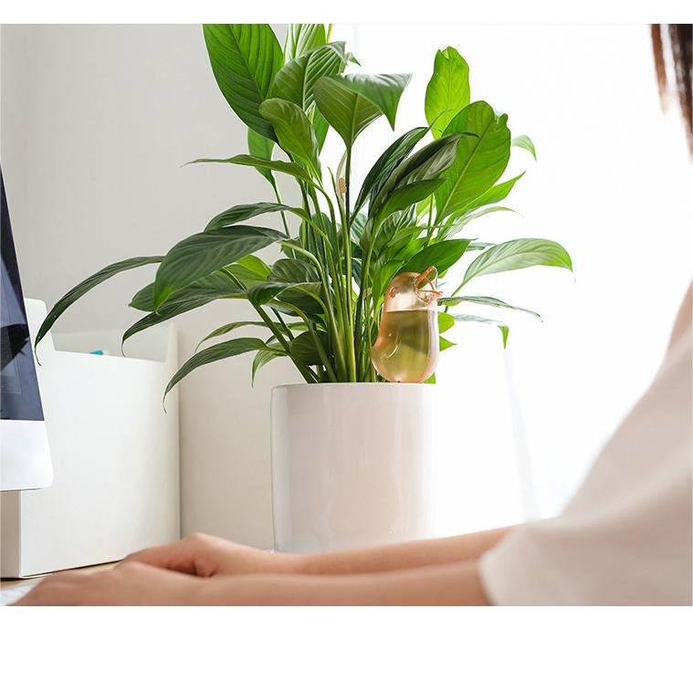 Self Spike Planter Drip Watering Bird