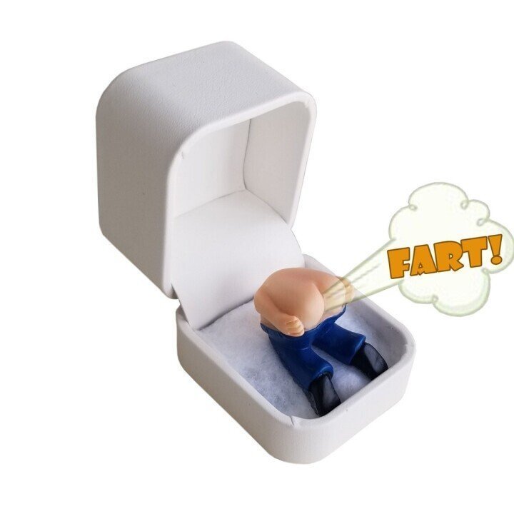 (NEW YEAR SALE - 48% OFF)💍Farting Butt in Ring Box (No Ring)