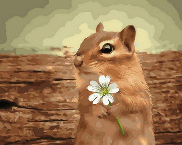 

Squirrel with Flower – Paint By Numbers - 40*50CM, 501 Original